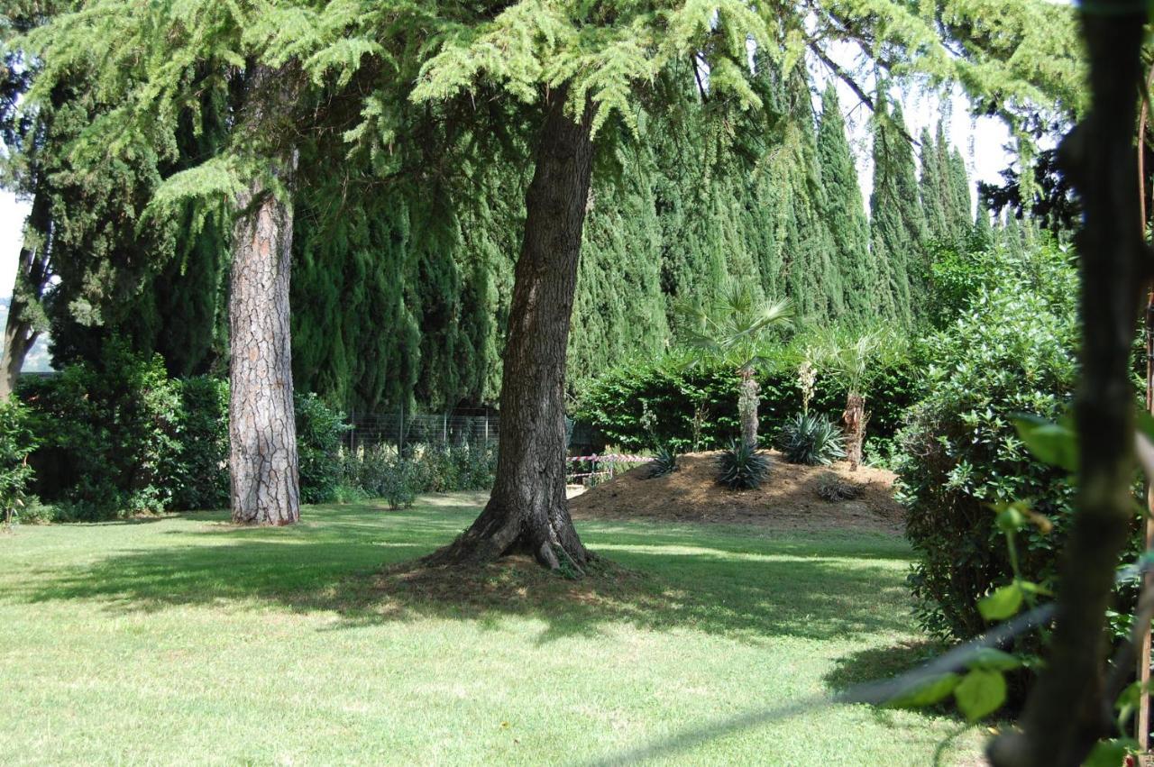 Relais Parco Dei Cavalieri Assisi Hotel Petrignano Eksteriør billede